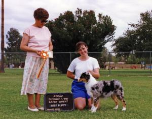 Zoe winning Best of Breed Puppy under Judge Sandy Wheat at ASCAZ, September 1, 1997.       